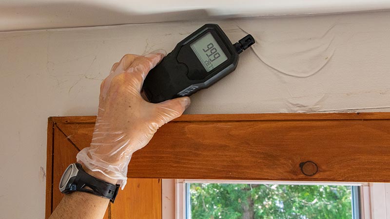 Moisture meter being used while performing home inspection services 